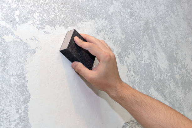 Best Biohazard Mold Removal  in Grant, MI