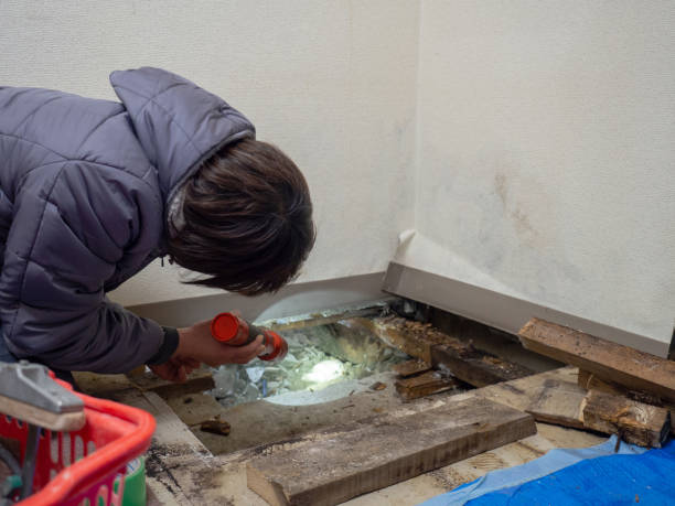 Best Forensic Mold Investigation  in Grant, MI