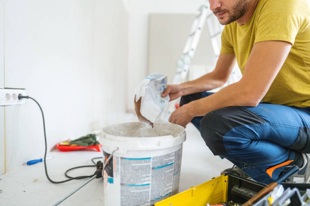 Best Black Mold Removal  in Grant, MI