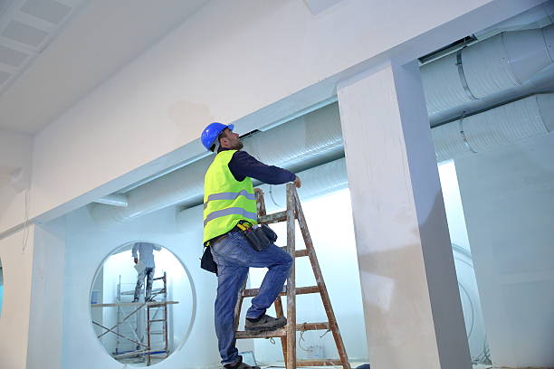 Best Environmental Consulting for Mold Prevention  in Grant, MI